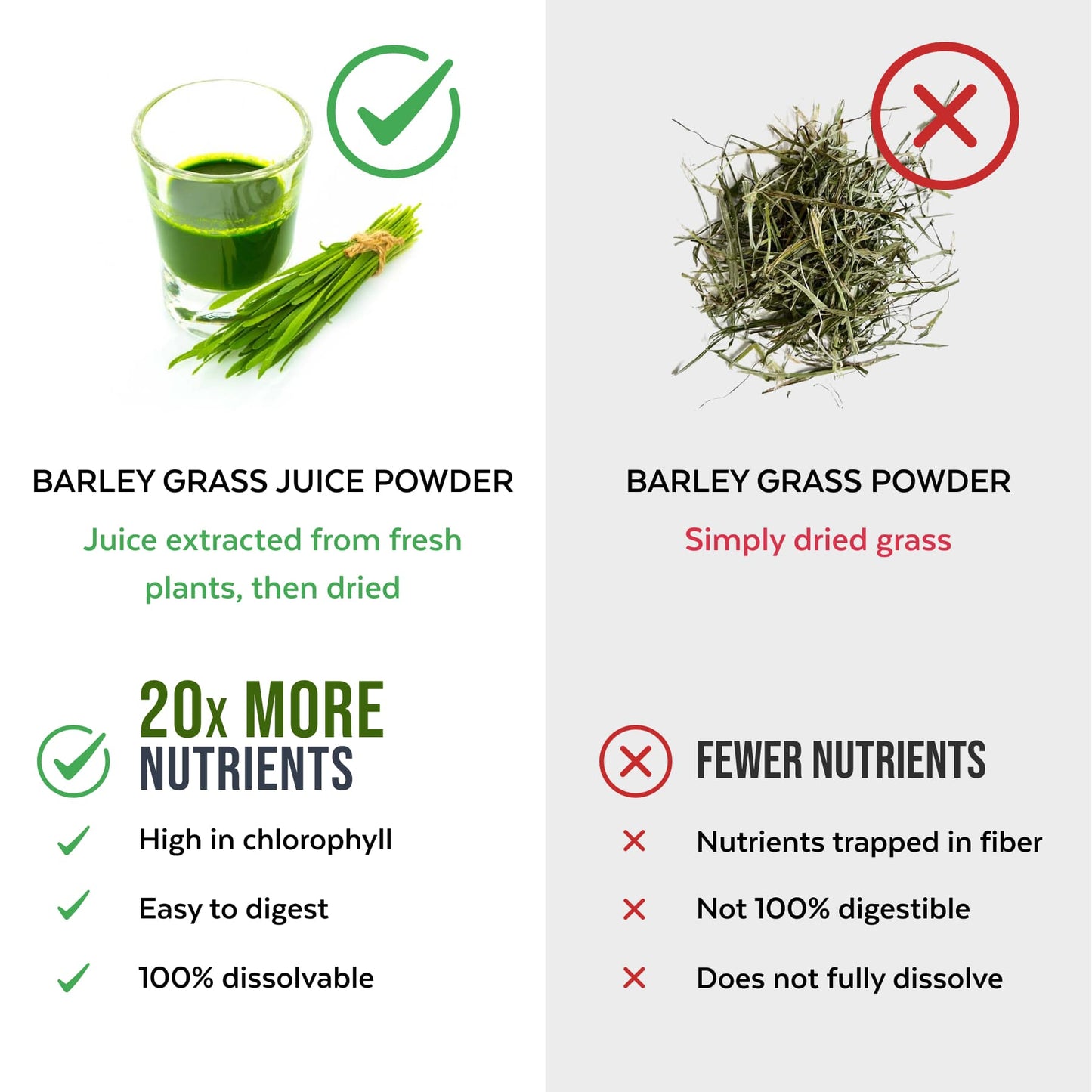 Organic Barley Grass Juice Powder